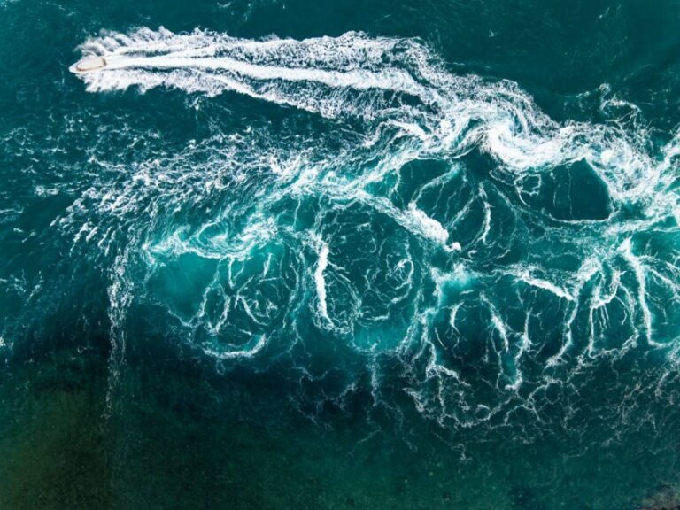 Cygnet Bay Giant Whirlpool Tidal Boat Experience - What To Expect: The Ride of a Lifetime