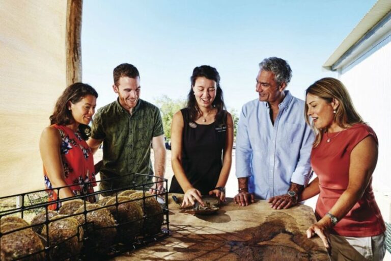 Cygnet Bay Pearl Farm Behind-the-Scenes Tour & Live Harvest - What You Can Expect During the Tour