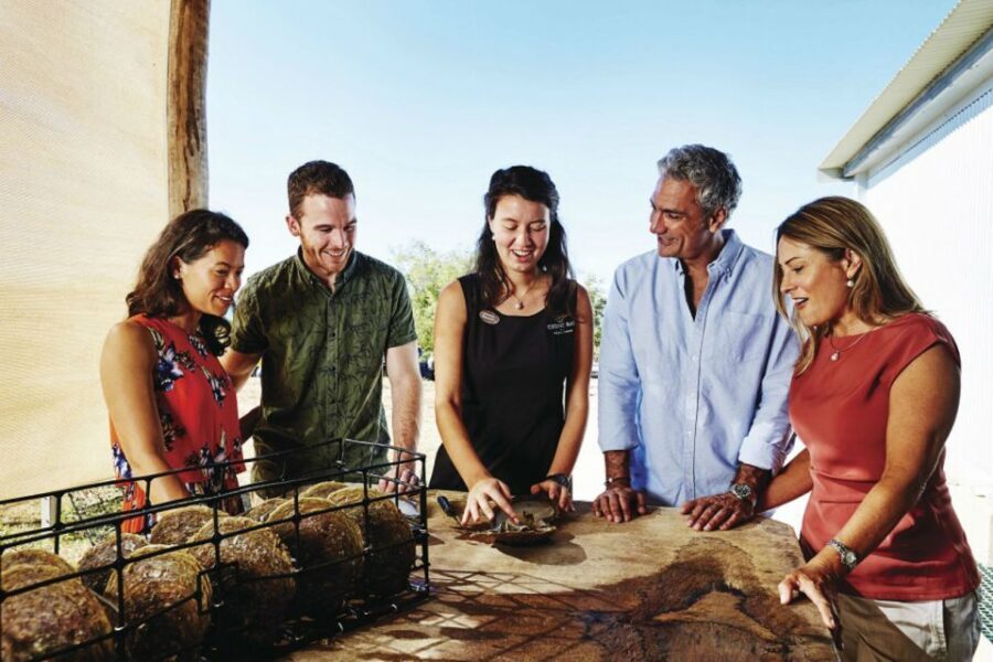 Cygnet Bay Pearl Farm Behind-the-Scenes Tour & Live Harvest - What You Can Expect During the Tour