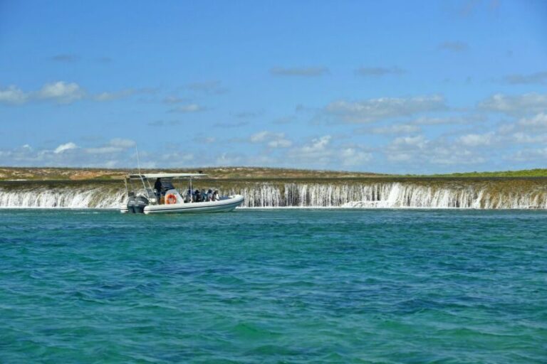 Cygnet Bay Unique Tidal Waterfall Reefs Scenic Cruise - An In-Depth Look at the Tidal Waterfall Reefs Scenic Cruise