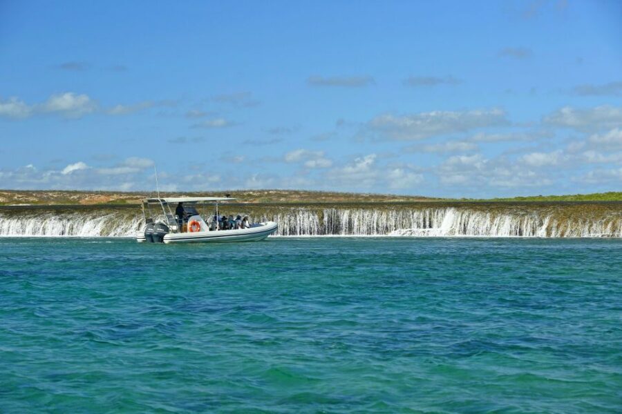 Cygnet Bay Unique Tidal Waterfall Reefs Scenic Cruise - An In-Depth Look at the Tidal Waterfall Reefs Scenic Cruise