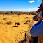 Daan Viljoen Sunrise Private Tour: A Wildlife Discovery Hike - What to Expect on Your Daan Viljoen Sunrise Wildlife Hike