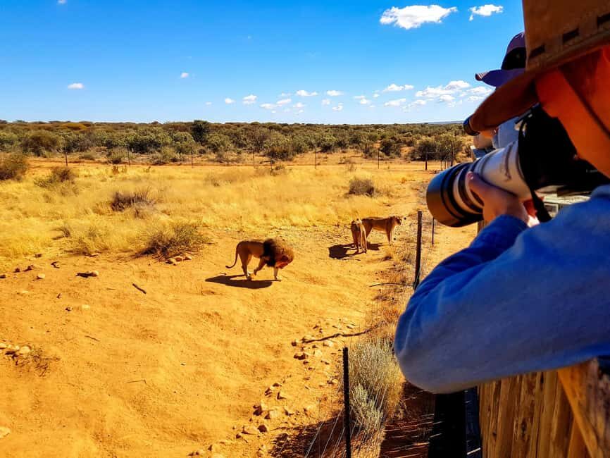 Daan Viljoen Sunrise Private Tour: A Wildlife Discovery Hike - What to Expect on Your Daan Viljoen Sunrise Wildlife Hike