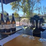 Daily Departures Franschhoek Tram Explorer Tour - The Wine Tastings and Food