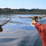 Daily Scenic Maori Rock Carving Cruise Taupo - What to Expect from the Tour