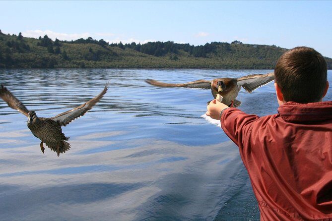 Daily Scenic Maori Rock Carving Cruise Taupo - What to Expect from the Tour