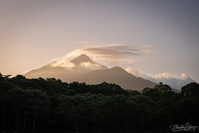 Daintree Ancient Giants Easy Rainforest Hike, Beach, Swim & Lunch - Practicalities and Value