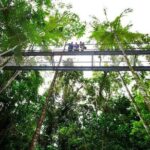 Daintree Discovery Centre Family Pass Ticket - How is the Experience Structured?
