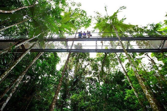 Daintree Discovery Centre Family Pass Ticket - How is the Experience Structured?