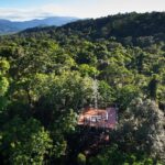 Daintree Discovery Centre Single Pass - Final Thoughts