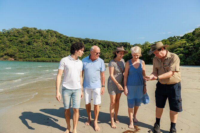 Daintree Rainforest and Cape Tribulation Day Tour from Cairns - Duration and Pacing