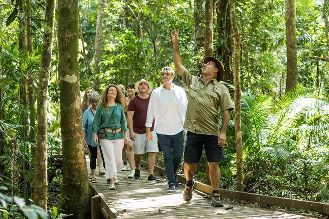 Daintree Rainforest and Cape Tribulation Full Day Tour - Practical Details: What Matters for Your Planning