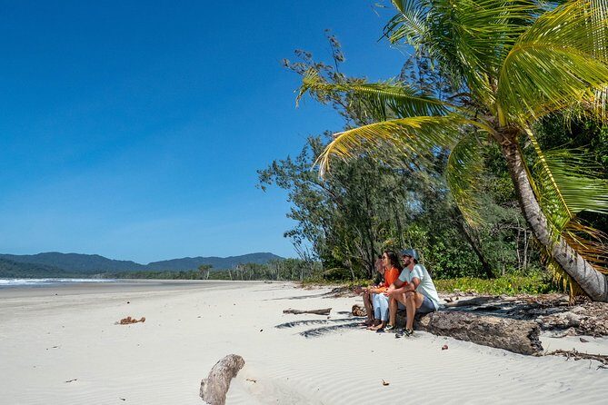 Daintree Rainforest and Mossman Gorge: Full Day Tour - Practicalities: What to Expect