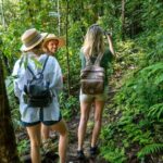 Daintree Rainforest: Magic Waterfall Walk with Lunch & Swim - Who Will Love This Tour?