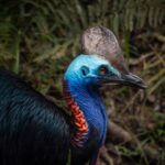 Daintree Rainforest, Mossman Gorge Small-Group from Port Douglas - What Does This Tour Offer in Terms of Value?