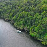 Daintree River Cruise - The Experience of the Daintree River Cruise