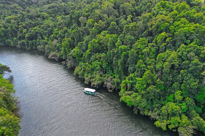Daintree River Cruise - The Experience of the Daintree River Cruise