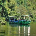 Daintree: River Rainforest Crocodile & Wildlife Cruise (DV) - Wildlife Encounters and Scenic Highlights