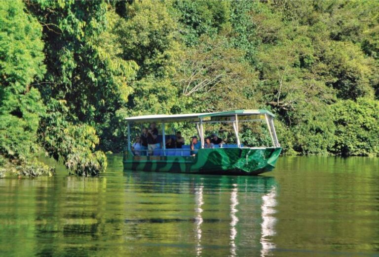 Daintree: River Rainforest Crocodile & Wildlife Cruise (DV) - Wildlife Encounters and Scenic Highlights