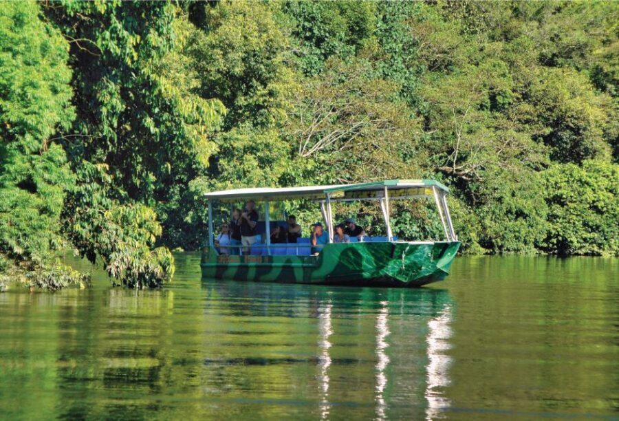 Daintree: River Rainforest Crocodile & Wildlife Cruise (DV) - Wildlife Encounters and Scenic Highlights