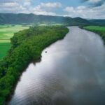 Daintree River Rainforest: Crocodile & Wildlife Cruises (DG) - Value and Practical Details