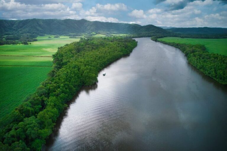 Daintree River Rainforest: Crocodile & Wildlife Cruises (DG) - Value and Practical Details