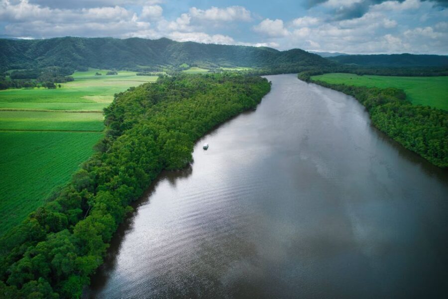 Daintree River Rainforest: Crocodile & Wildlife Cruises (DG) - Value and Practical Details