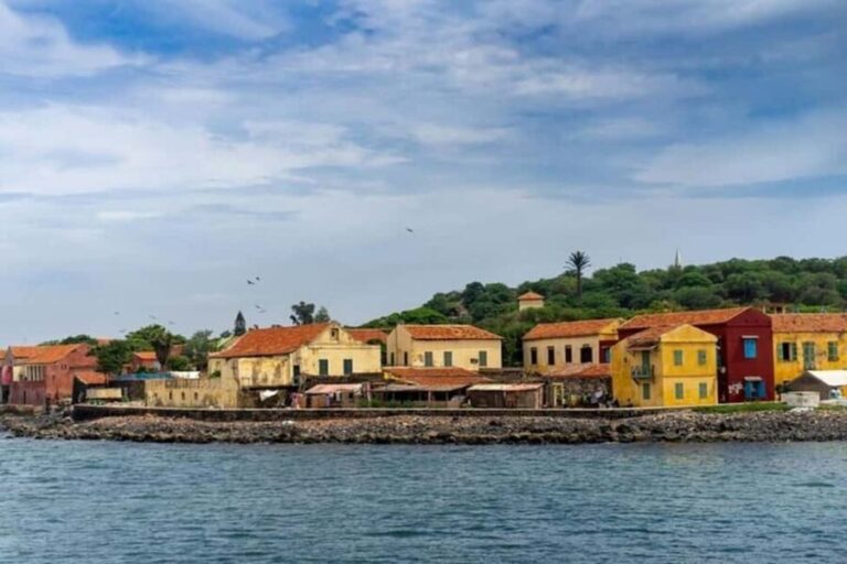 Dakar: Private Custom Tour with a Local Guide - The Practicalities: Pricing, Duration, and Value