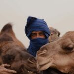 Dakhla Camel Ride in the Desert - What You Can Expect from the Dakhla Camel Ride