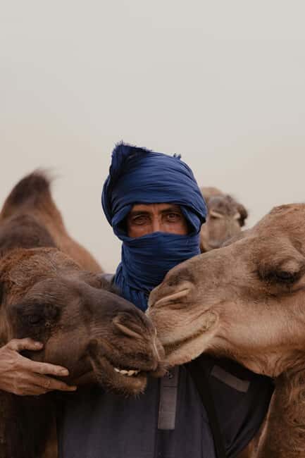Dakhla Camel Ride in the Desert - What You Can Expect from the Dakhla Camel Ride
