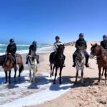 Dakhla Horse Riding Tour in the Desert - An In-Depth Look at the Dakhla Horse Riding Tour