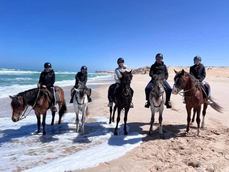 Dakhla Horse Riding Tour in the Desert - An In-Depth Look at the Dakhla Horse Riding Tour
