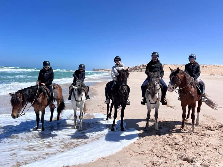 Dakhla Horse Riding Tour in the Desert - An In-Depth Look at the Dakhla Horse Riding Tour
