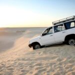 Dakhla: Imlili Desert 4x4 Tour with Oyster Tasting - What We Love About This Tour