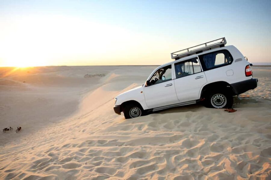 Dakhla: Imlili Desert 4x4 Tour with Oyster Tasting - What We Love About This Tour