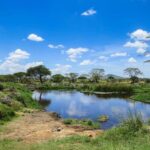 Dar es Salaam: 2-Day Saadani National Park Safari - The Itinerary Breakdown