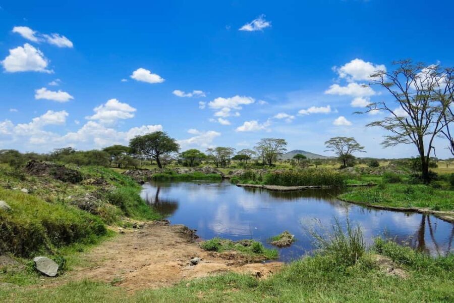 Dar es Salaam: 2-Day Saadani National Park Safari - The Itinerary Breakdown