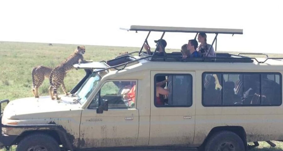 Dar es Salaam: 2-Day Selous Game Reserve Safari - Day Two: Exploring the Heart of Selous