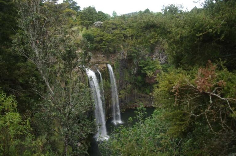 Dar es Salaam: 3-Day Mikumi & Udzungwa Safari with Train - Authentic Experiences and Insights