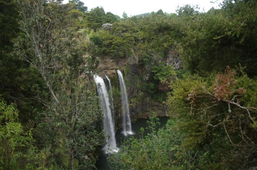 Dar es Salaam: 3-Day Mikumi & Udzungwa Safari with Train - Authentic Experiences and Insights