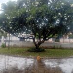 Dar es Salaam: Experience the real Dar es Salaam (City Tour) - FAQ