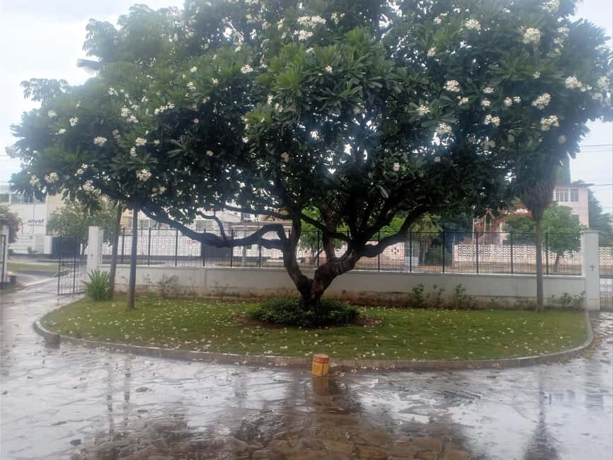 Dar es Salaam: Experience the real Dar es Salaam (City Tour) - FAQ
