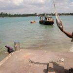 Dar es Salaam: Guided Fish Market Tour - Transportation, Group Size, and Practical Details