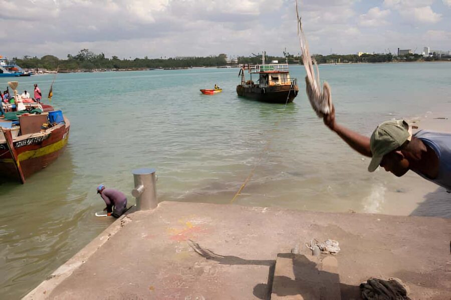 Dar es Salaam: Guided Fish Market Tour - Transportation, Group Size, and Practical Details