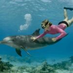 Dar es Salaam: Mbudya Island Day Trip with Snorkeling - Whats Included and Whats Not