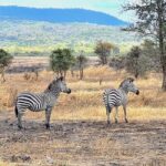 Dar es Salaam: Mikumi National Park 2-Day Private Safari - FAQs