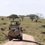 Dar es Salaam: Mikumi National Park Safari with Train Ride - What Sets This Tour Apart?