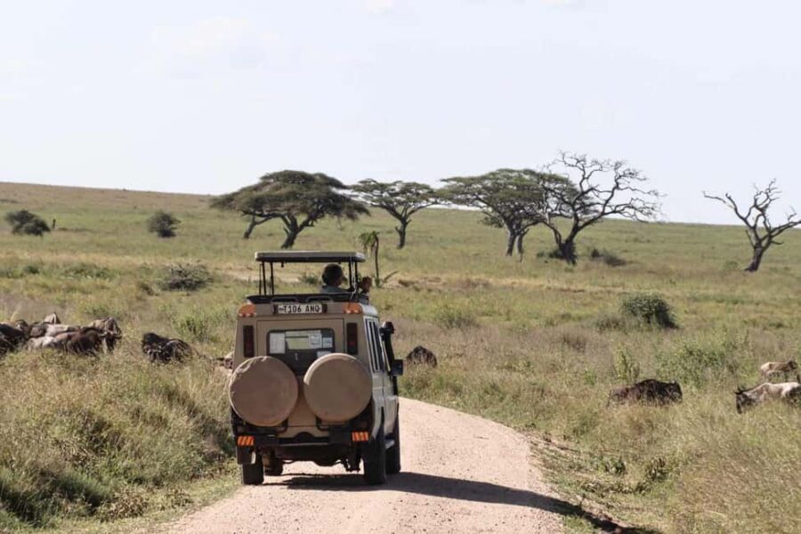 Dar es Salaam: Mikumi National Park Safari with Train Ride - What Sets This Tour Apart?