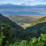 Dar es Salaam: Pugu Hills Forest Reserve 2-Day Camping Tour - Day 1: From Arrival to Forest Walk