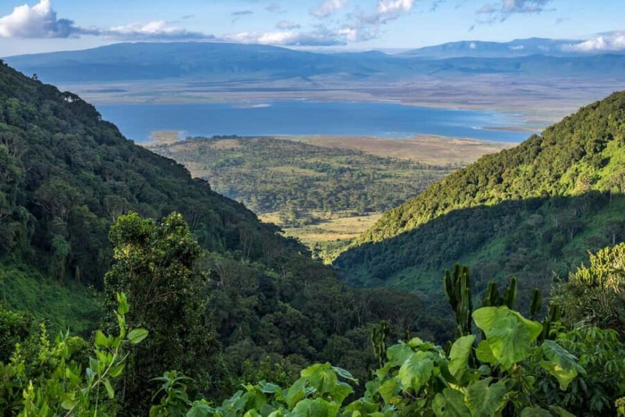 Dar es Salaam: Pugu Hills Forest Reserve 2-Day Camping Tour - Day 1: From Arrival to Forest Walk
